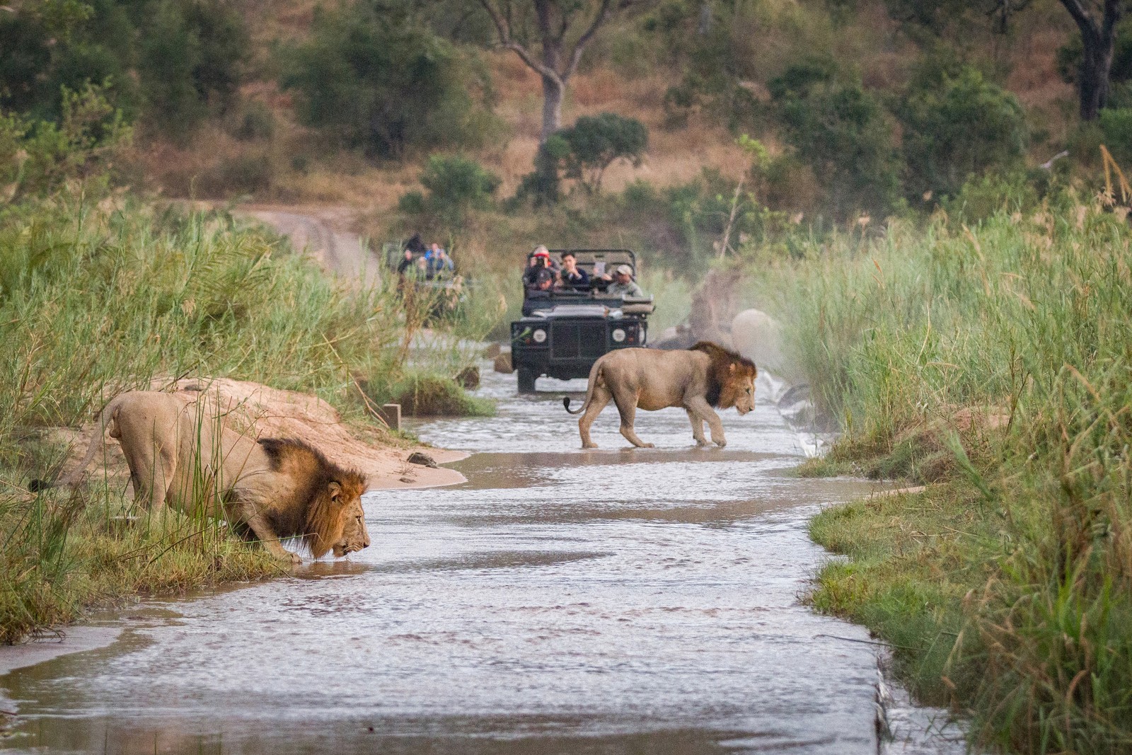 Cover for 8 Adrenaline-Fueled Travel Ideas That Don’t Sacrifice Comfort