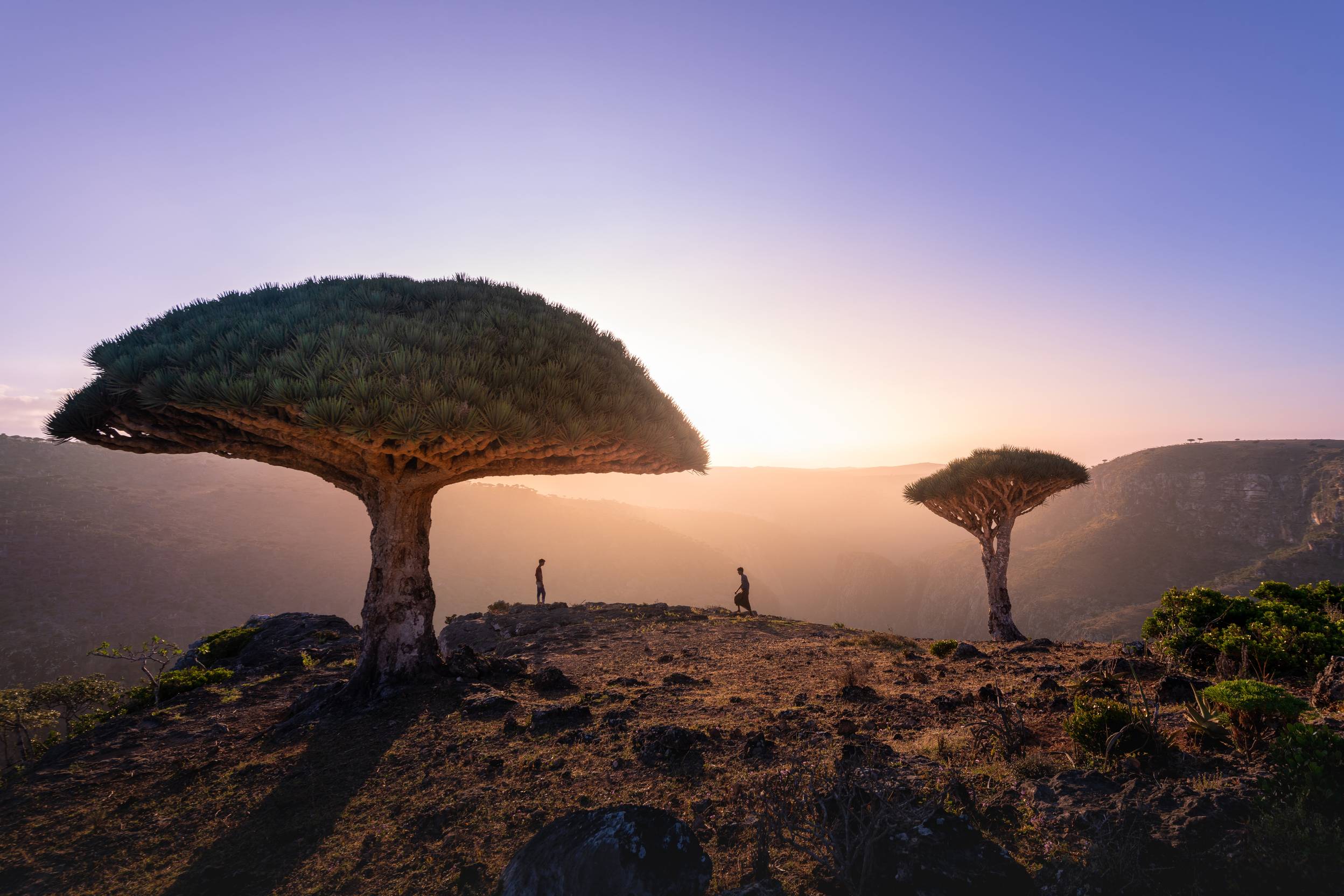 Cover image for The Most Surreal Places on Earth