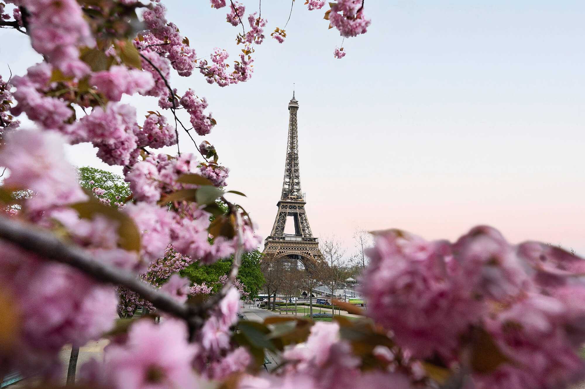 Cover for 5 Must-Visit Destinations for a Spring Getaway in 2023