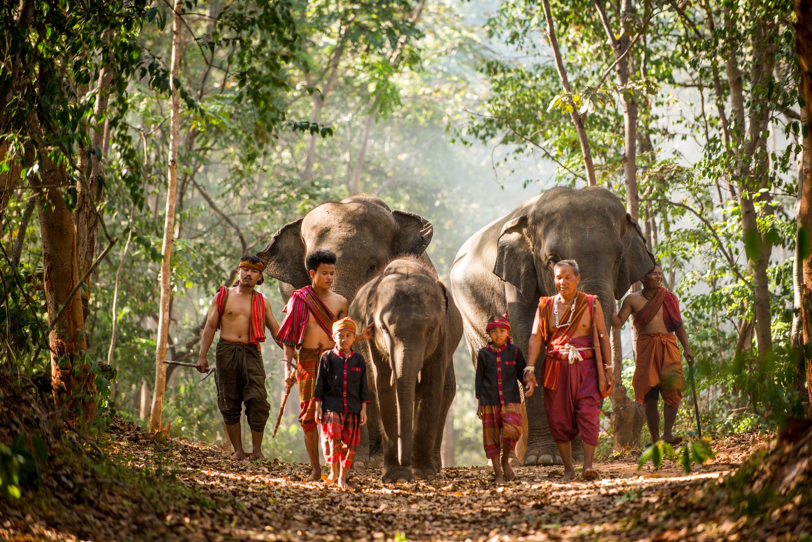 Cover image for 7 Reasons Why Thailand Is One of the Best Travel Destinations