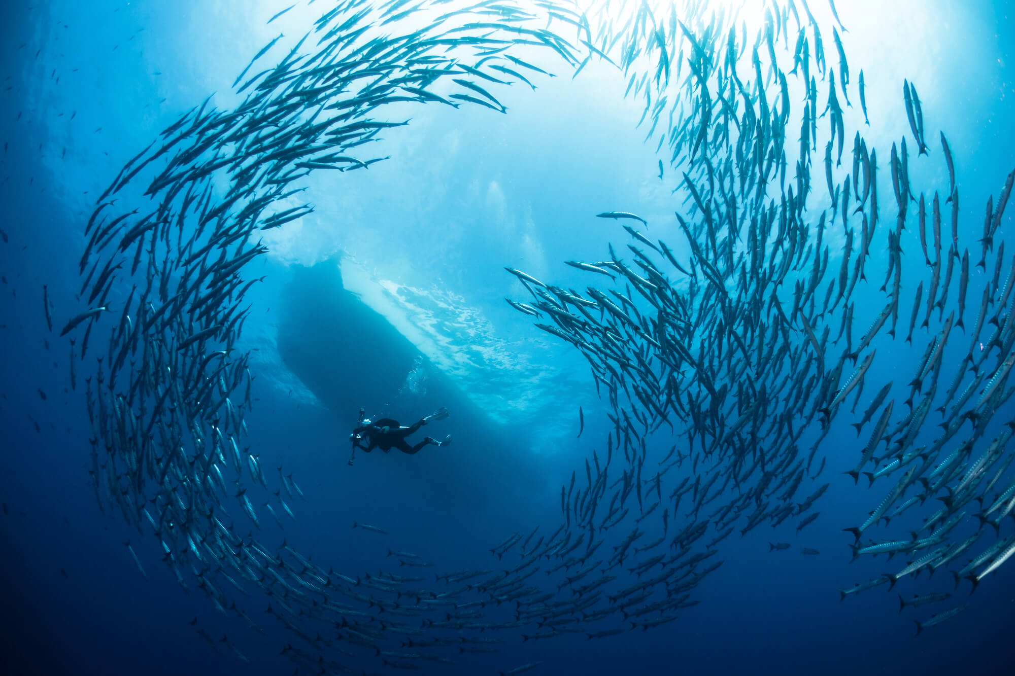 Cover image for Top 10 Scuba Diving Destinations in 2024