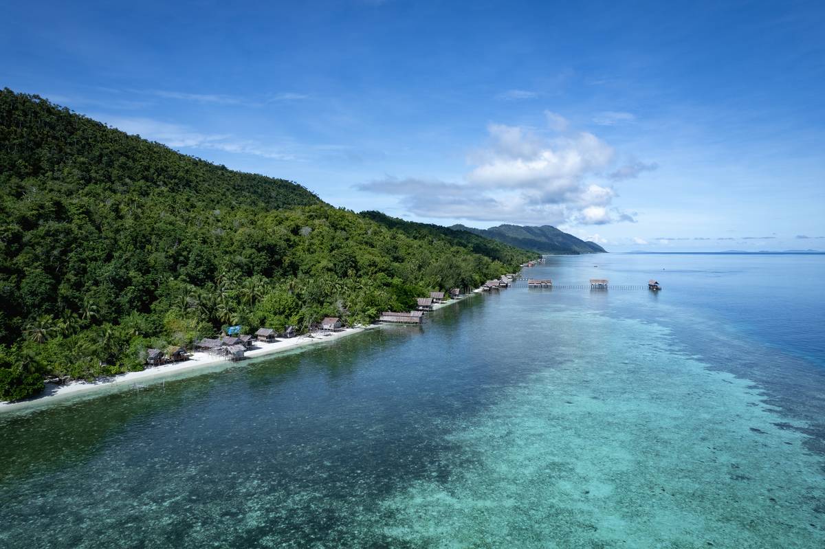 Cover image for The Ultimate Guide to The Last Paradise - Raja Ampat