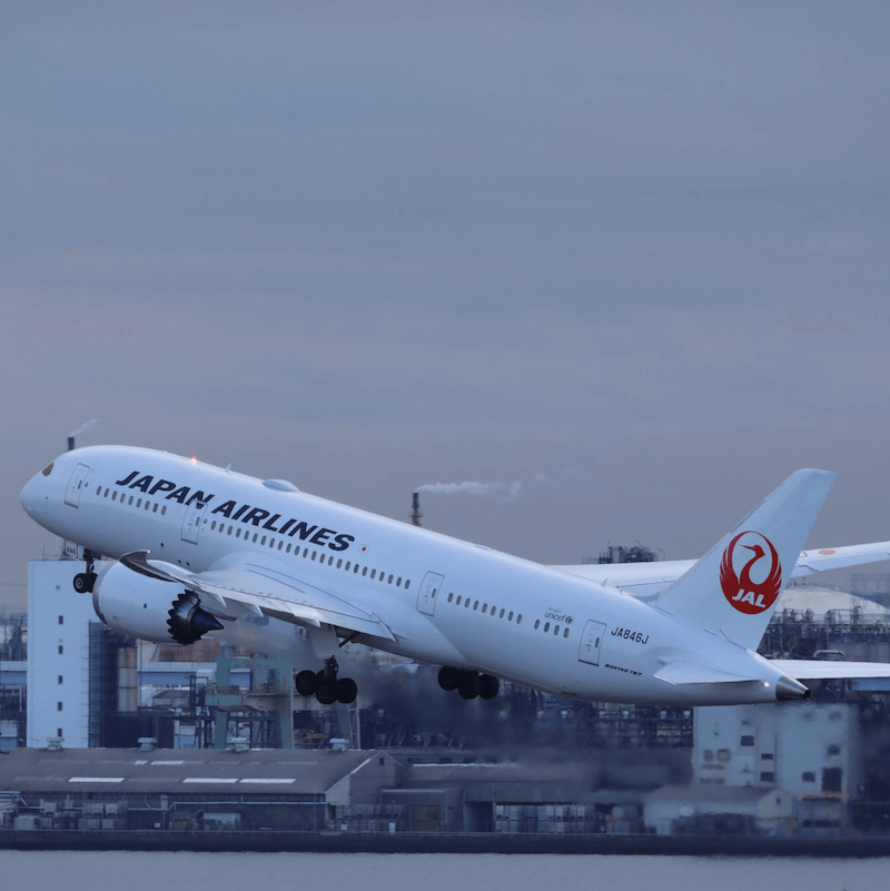 Picture of Japan Airlines, undefined