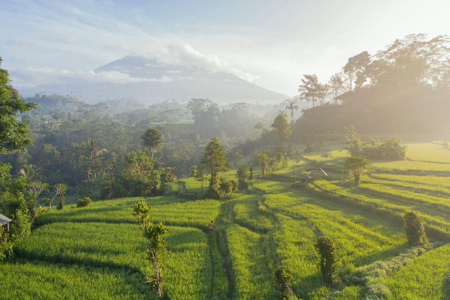 Picture of Explore Rice Terraces, attraction