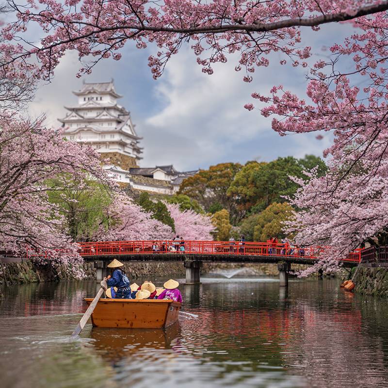 Picture of Himeji Castle, attraction