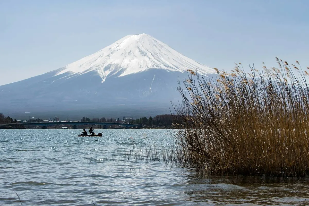 Picture of Mount Fuji, attraction