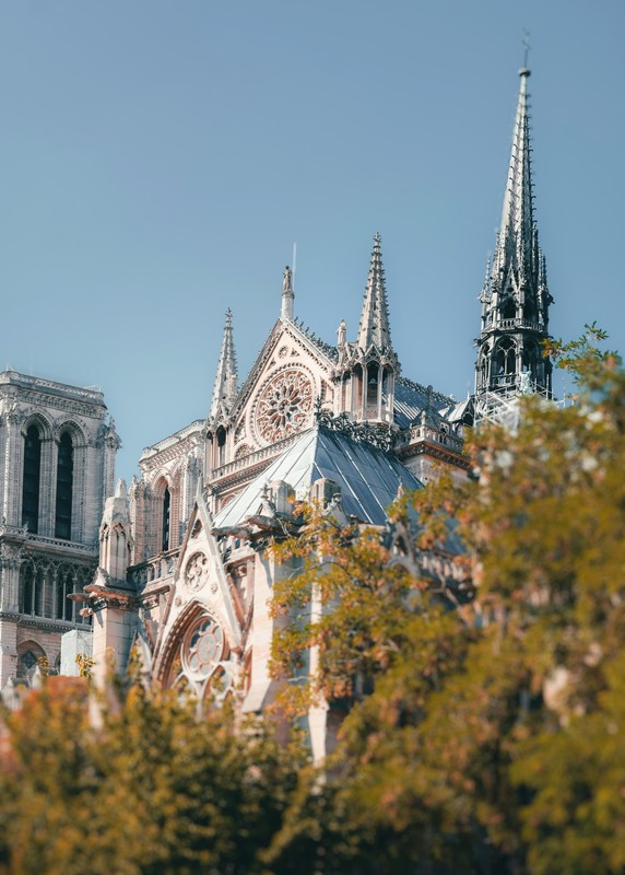 Picture of Notre-Dame Cathedral, attraction