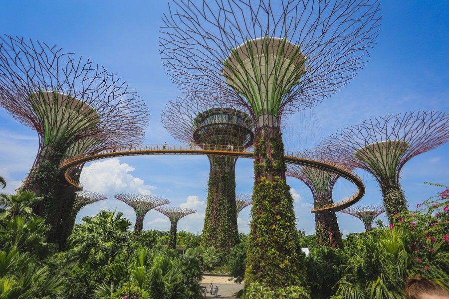 Picture of Gardens by the Bay, attraction