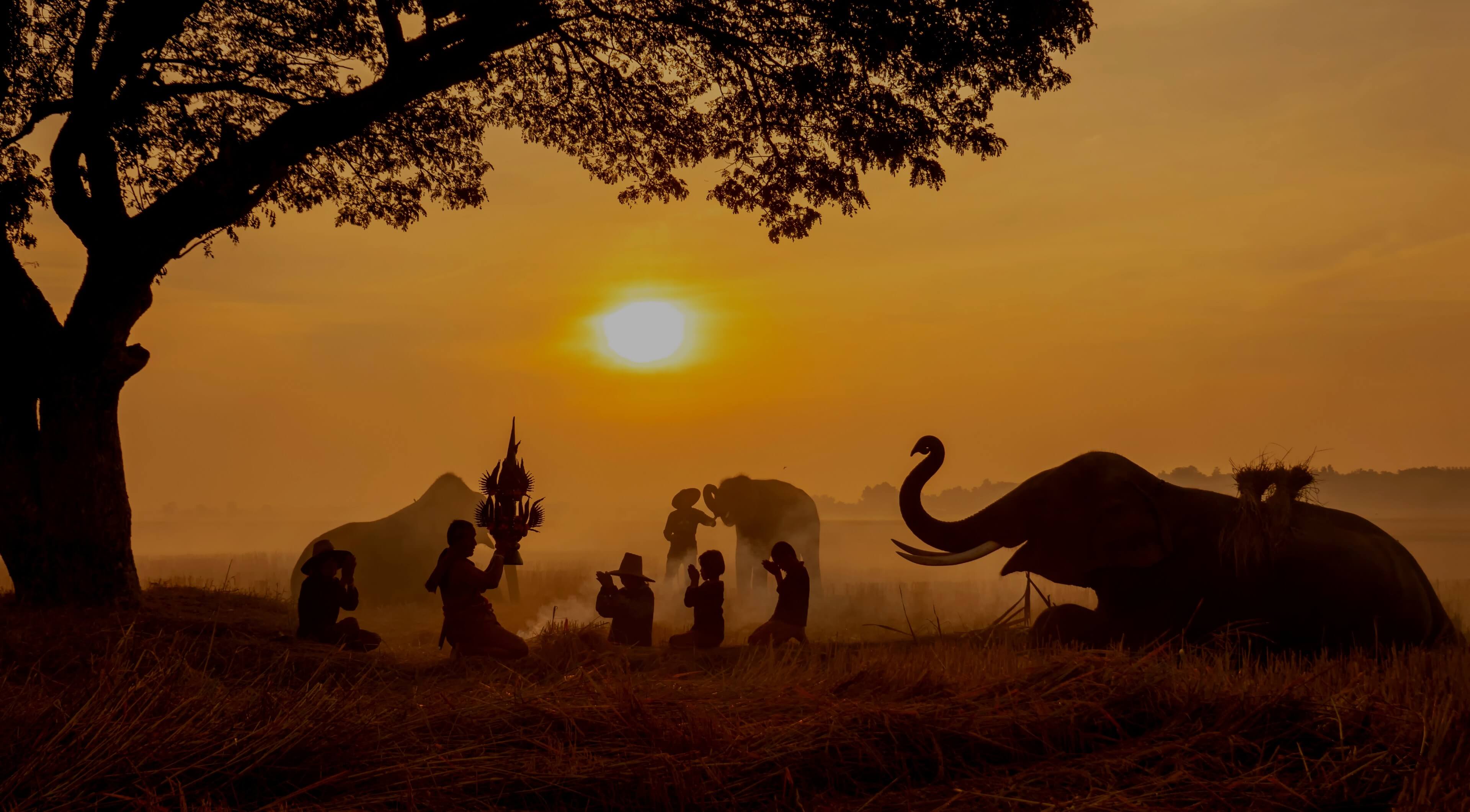 Full-screen background image
