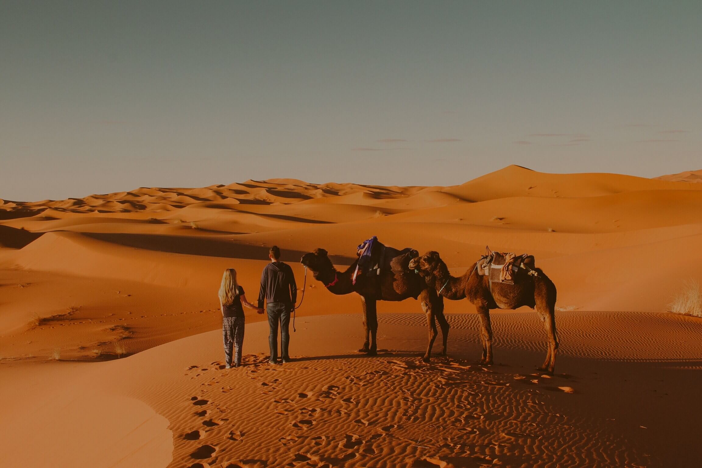 Full-screen background image
