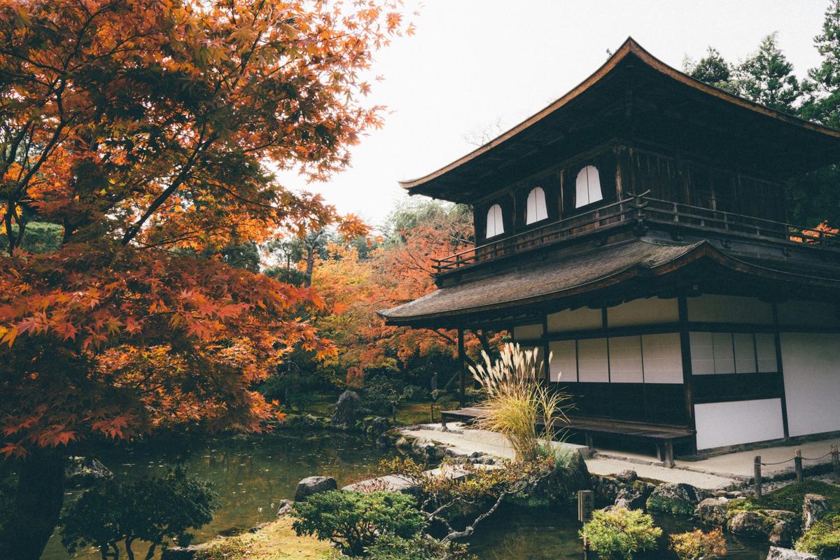 Cover image for Japan in Autumn 2026: A Real Guide to Koyo Season for Experienced Travellers
